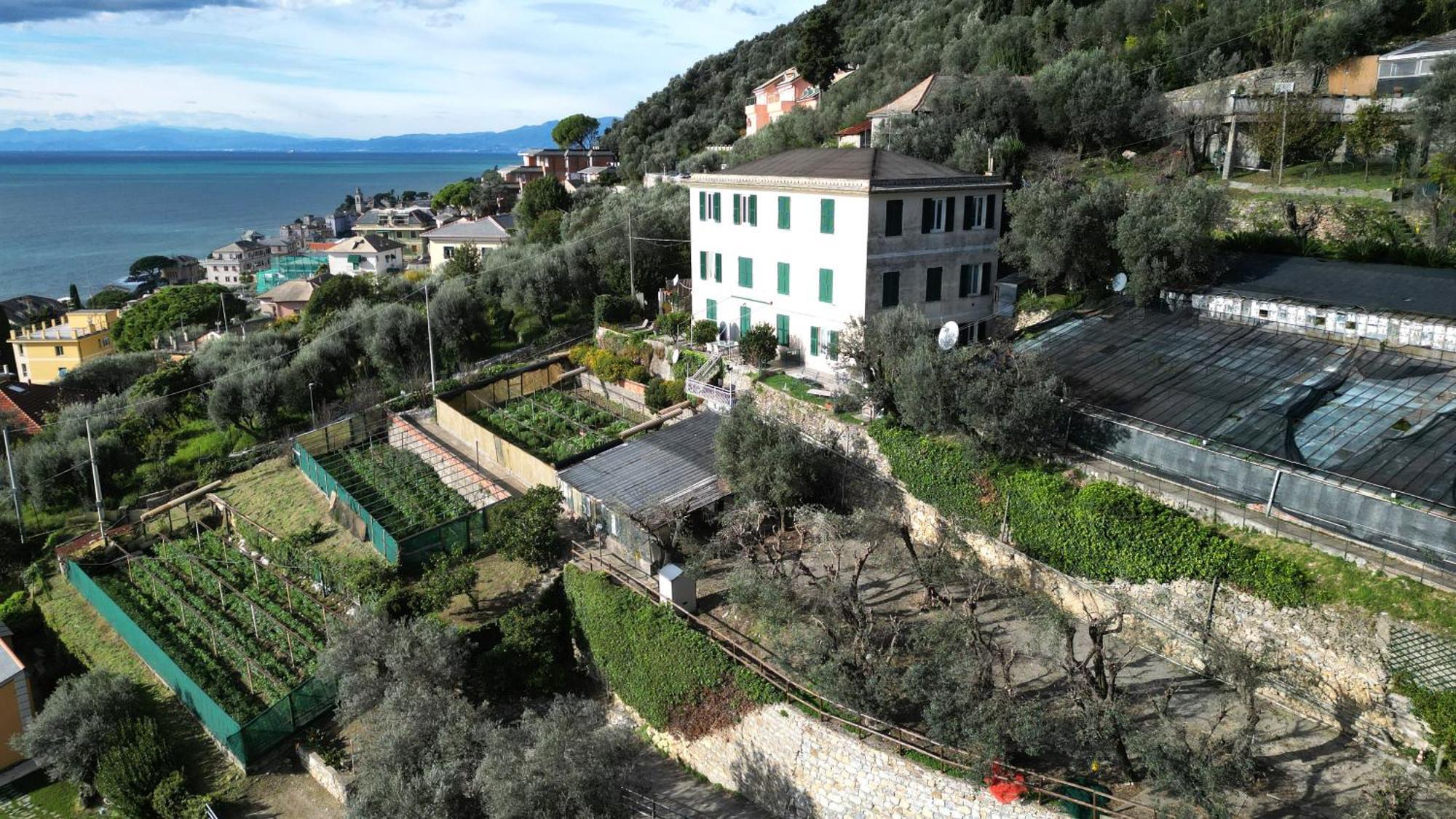 Cav Gli Ulivi Di Bogliasco Villa Dış mekan fotoğraf