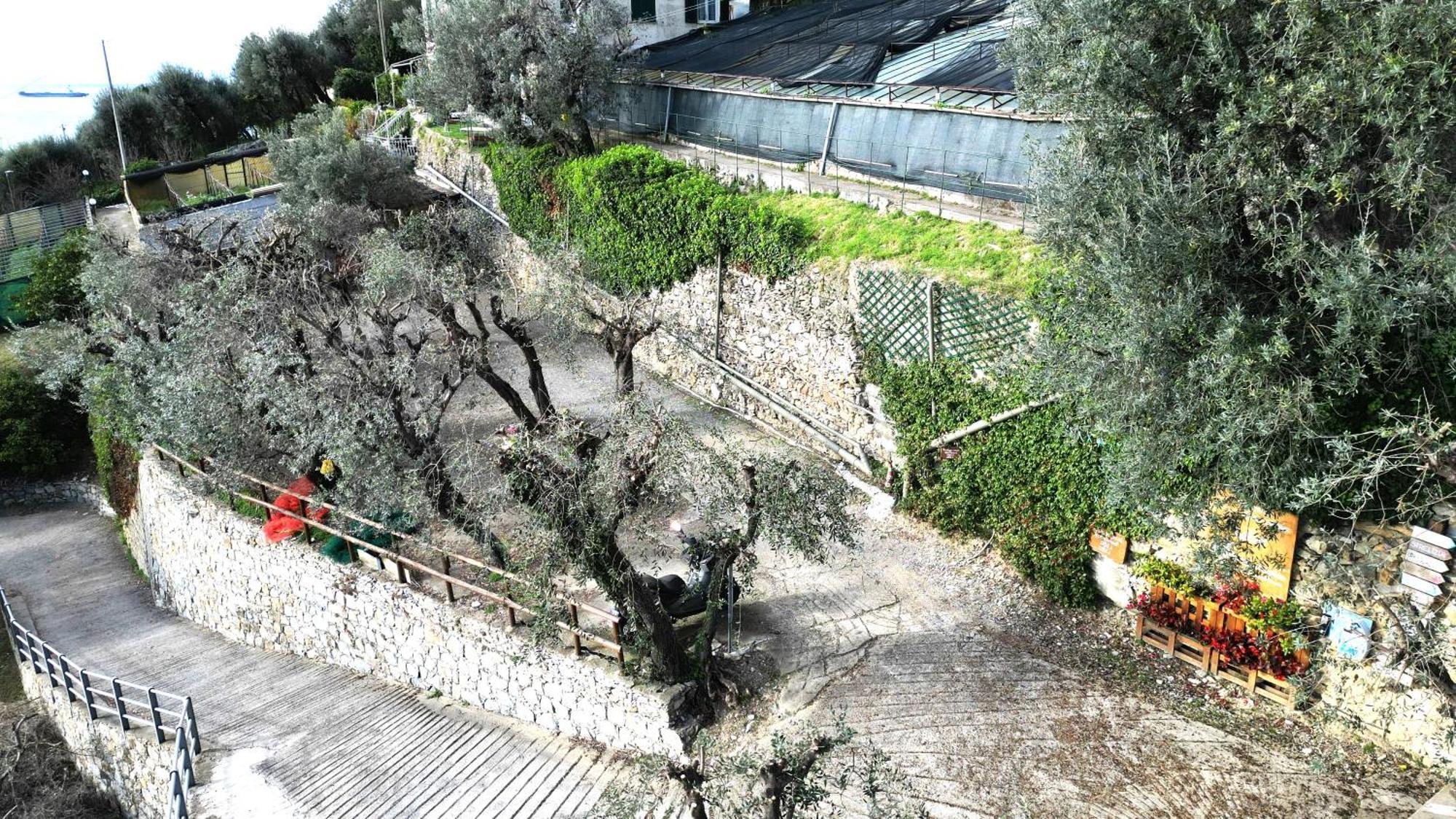 Cav Gli Ulivi Di Bogliasco Villa Dış mekan fotoğraf