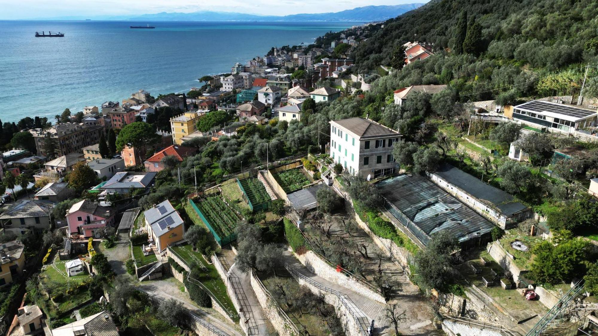 Cav Gli Ulivi Di Bogliasco Villa Dış mekan fotoğraf